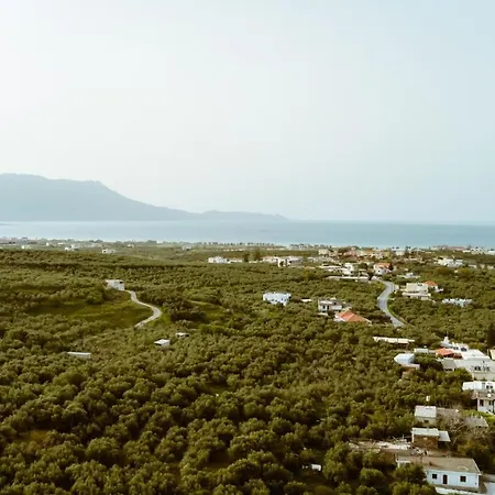 Spitaki * Kaloudhiana